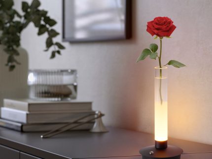 Minimalist Glass Vase lamp