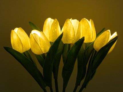 Tulip Night Light, Holiday Gifts
